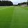 Football Pitch Grass