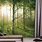 Forest Landscape Wall Mural