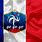 France Football Team Flag