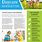 Free Childcare Newsletter Templates