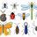 Free Clip Art Bugs Insects