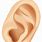 Free Clip Art Ear
