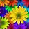 Free Colorful Screensavers Flower