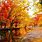 Free Fall Images Autumn