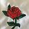 Free Machine Embroidery Rose Designs
