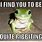 Frog Humor