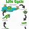 Frog Life Cycle Poster