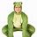 Frog Outfit