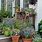 Front Yard Container Gardening