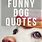 Fun Dog Sayings