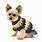 Funny Cute Dog Sweaters