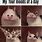 Funny Dank Cat Memes
