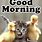 Funny Morning Animals