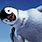 Funny Penguin Backgrounds
