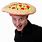 Funny Pizza Hat