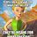 Funny Tinkerbell Memes