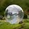 Garden Glass Bubble Iridescent