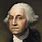 George Washington's Hair