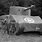 Ghost Army Tanks