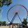 Giant Wheel Cedar Point