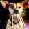 Gidget the Taco Bell Chihuahua