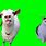 Goat and Huh Cat Meme