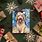 Goldendoodle Christmas Cards