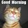 Good Morning Cat Meme