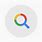 Google Image Search Icon