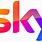 Google Sky Logo