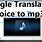 Google Translate Voice Download