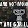 Gorilla Tag Memes