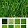 Grass Color Pallet