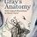 Gray Anatomy Book