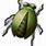 Green Bug Cartoon