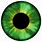 Green Eye Texture