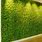 Green Moss Wall