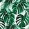 Green Palm Leaf Wallpaper