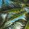 Green Palm Tree Wallpaper