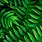 Green Plant Wallpaper 4K