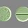 Green Round Tablet