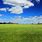 Greengrass Field Background