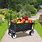 Grocery Wagon Cart