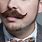 Groomed Mustache