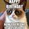 Grumpy Cat Happy Birthday Meme