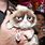 Grumpy Cat Meme Generator