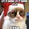 Grumpy Cat Snow Meme