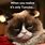 Grumpy Cat Tuesday Meme
