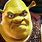 Grumpy Shrek