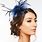 Hairstyles with a Fascinator
